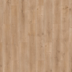 Oak_Light_Brawn