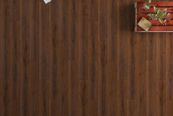 dub-caramel-FP956-2