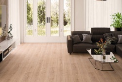 dub-naturalnyy-FP955-1-5