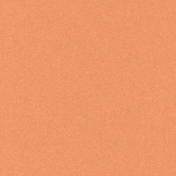 melodia-2635