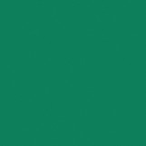 THH_Omnisport_Field_Green