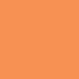 THH_Omnisport_Orange