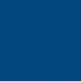 THH_Omnisport_Royal_Blue