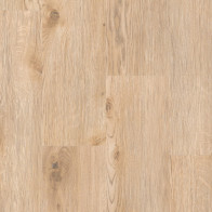 THH_PRIME_CLICK_Cedar_Brown
