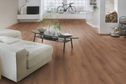 kronospan-laminate-forte-classic-8235-dub-monako_2