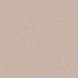 AMOS_4