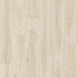 SOFTWOOD_1