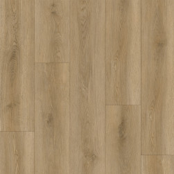 cerera-2